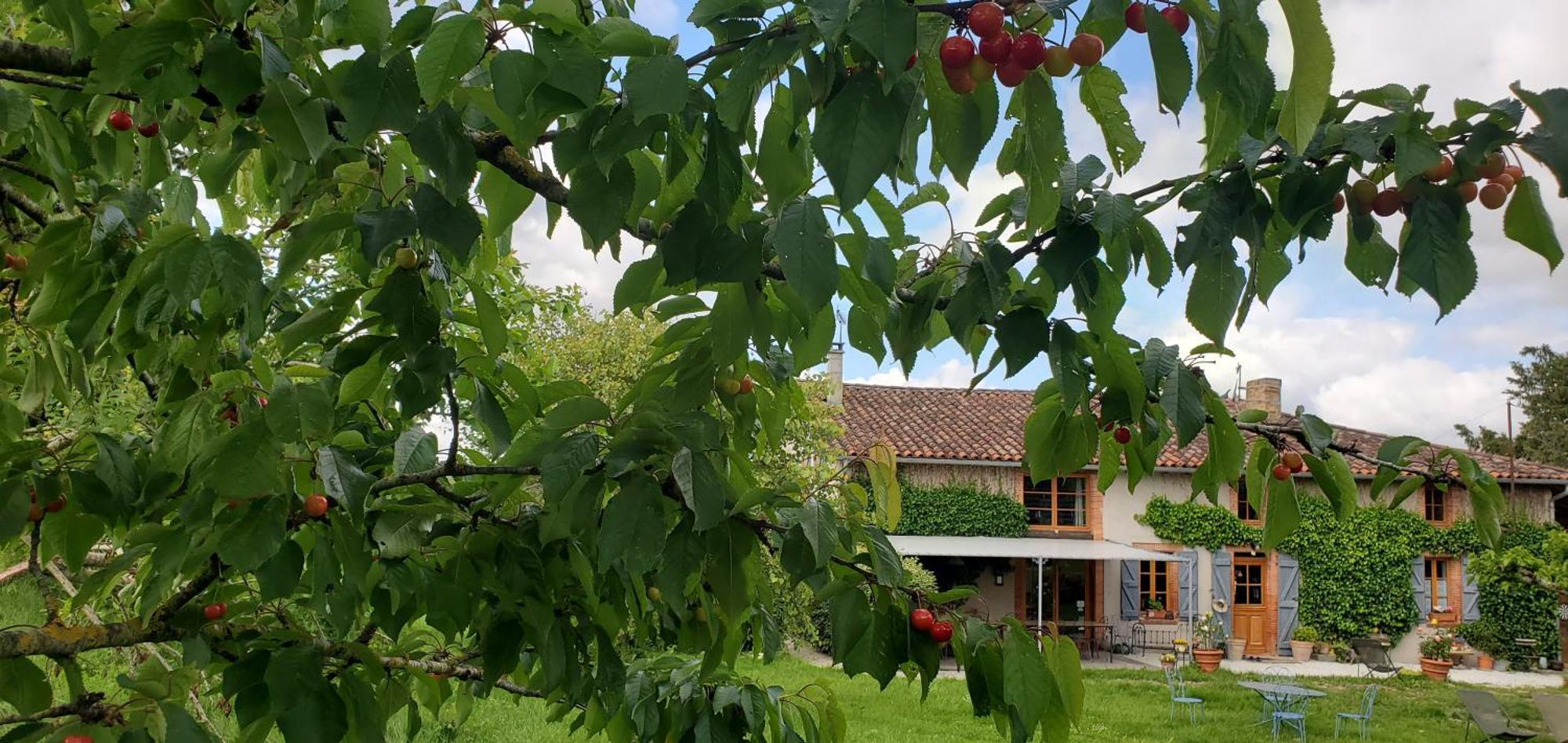 B&B La Ferme De Loubens Luaran gambar